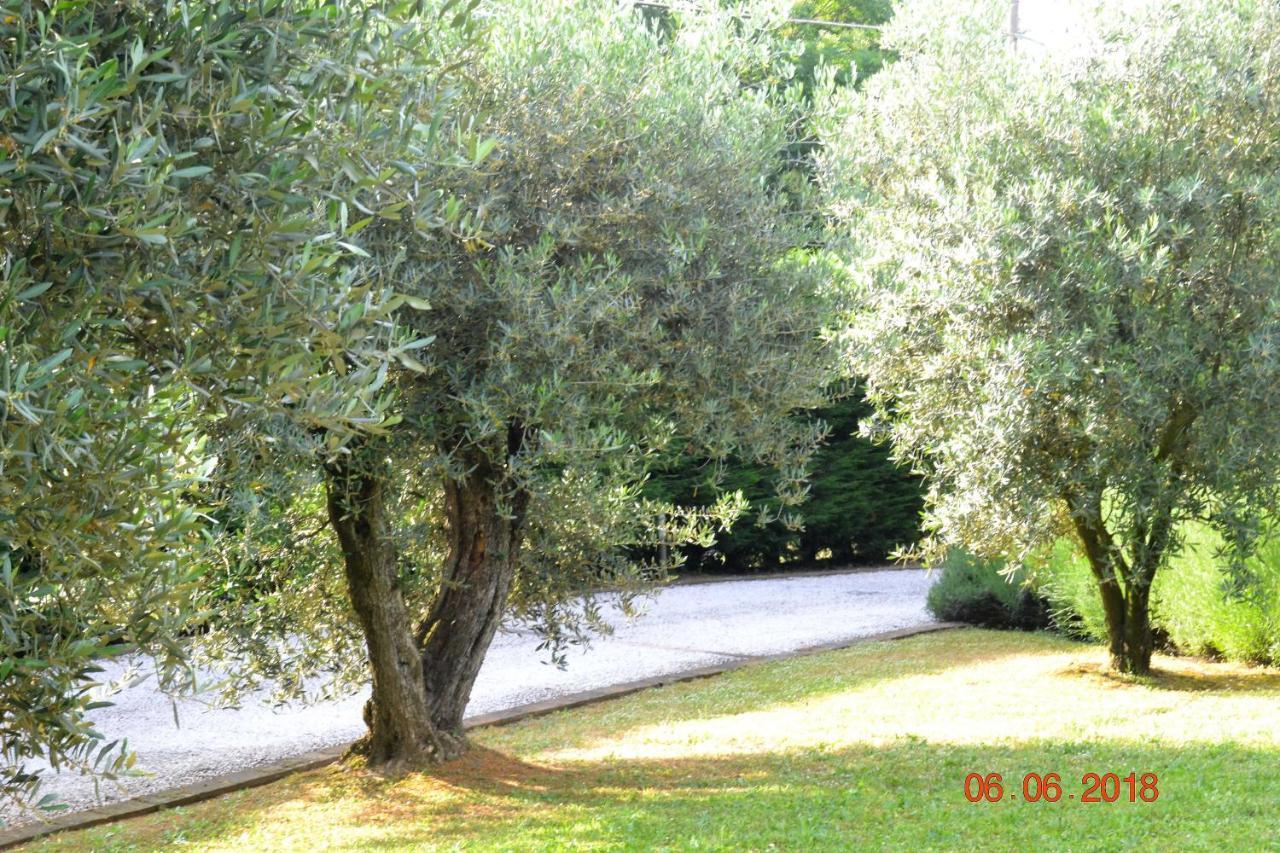 La Colombara - Fra I Colli A 5 Minuti Dall'Autodromo Imola Dış mekan fotoğraf